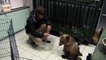 Simon meets a paralysed bear cub - Greece with Simon Reeve: Episode 2 Preview - BBC Two
