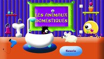 Dessin animé / Les animaux domestiques / Apprendre les mots en Français / Learn French
