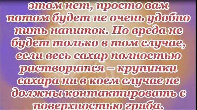 Правильный уход за чайным грибом