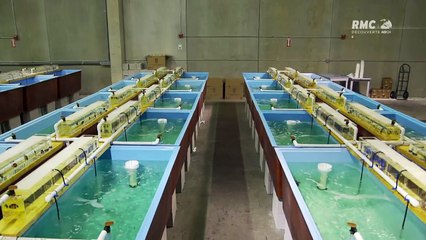 Aquamenles rois des aquariums un gros client