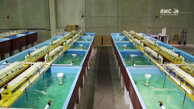 Aquamenles rois des aquariums un gros client