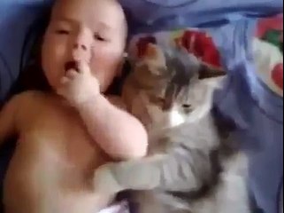 Кот без ума от малыша
