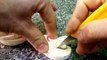 Art in Mushroom Swans _ Birds - Fruit Vegetable Carving Garnish