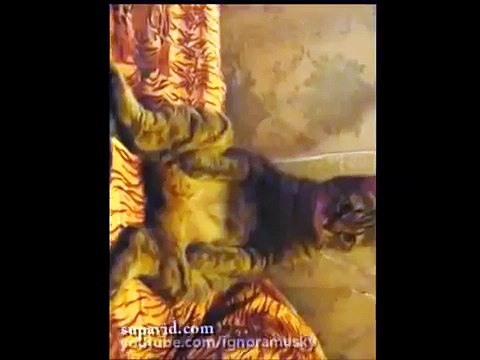 The cat sits. Кот присел. Funny Cat Videos