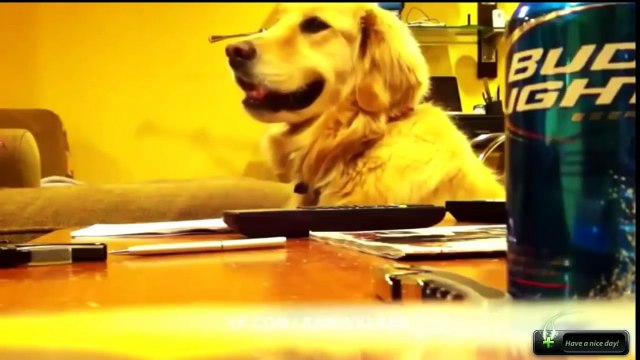 Olaylar, olaylar, olaylar, aptal Uygulama sadece zarar bak.