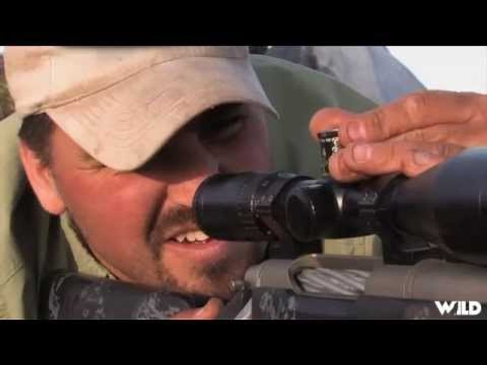 Hunting Bears In The Canyons