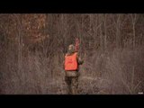 Hunting Whitetail Deer in Quebec