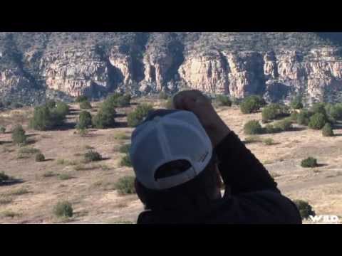 Hunting Whitetail Deer