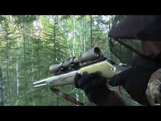 Hunting Black Bear in Quebec