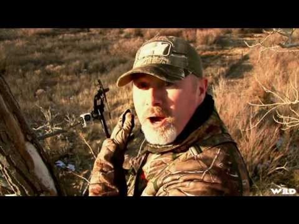 Bowhunting Deer In The Outdoors