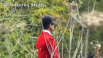 Une femme sauve un renard pendant une chasse à courre