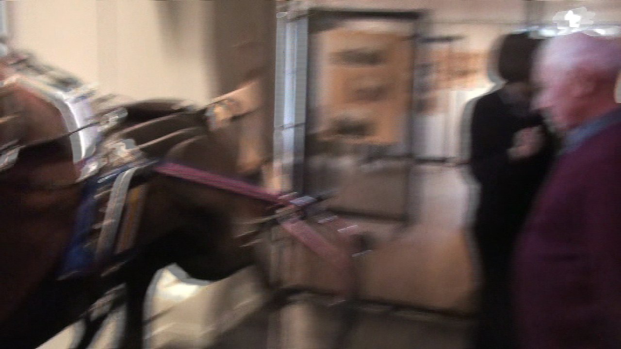 visite du musée
