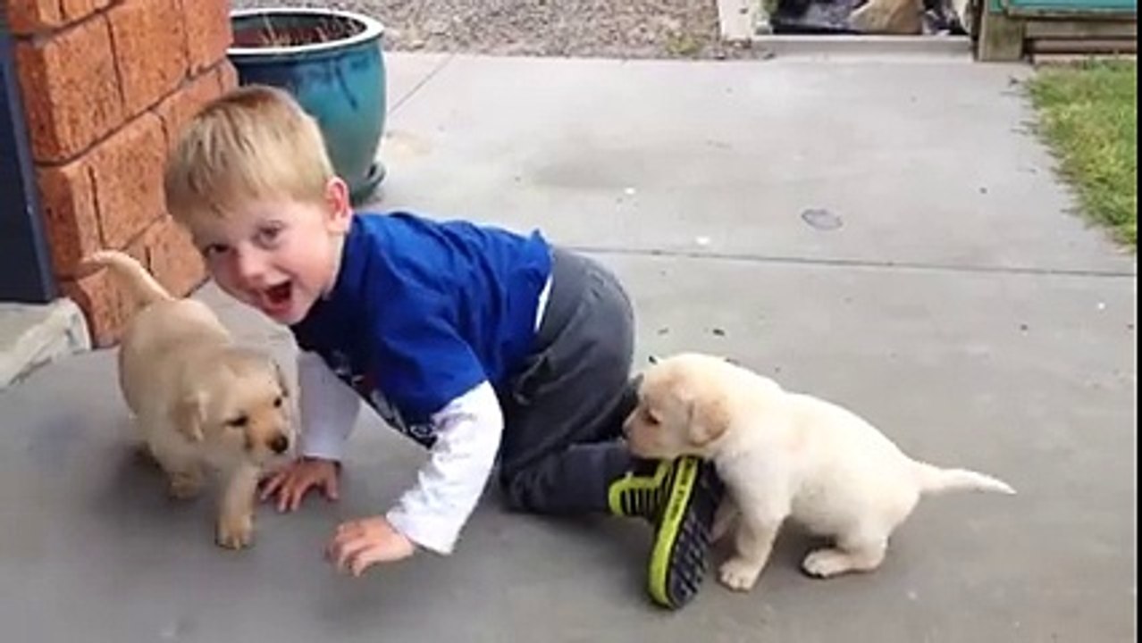 Cute animals And Babies (16)