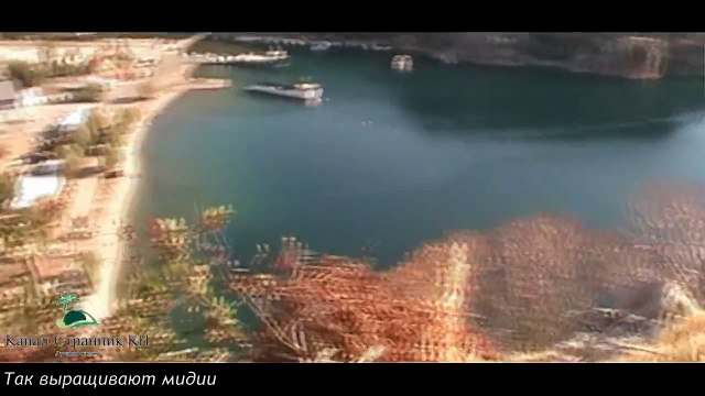 Греция- Выращивание мидий- Ферма по выращиванию мидий