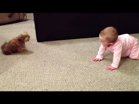 BABY DOG WHISPERER! Cesar Millan has nothing on her!