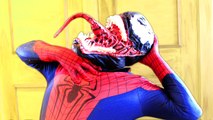 Spiderman vs Venom in Real Life! Red & Blue Spiderman Battles Venom Superhero Movie (1080p)