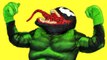 Spiderman vs Venom Vs Hulk in Real Life!  Spiderman & Hulk Batlle Venom Superhero Movie! (1080p)