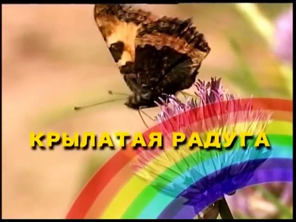 Крылатая радуга
