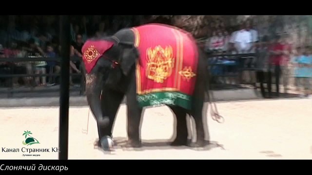 Тайланд- Танцующие слоны- Шоу слонов