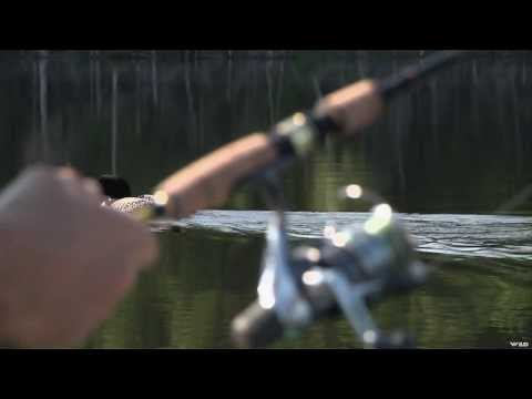 Fishing For Bass with Berval Outfitters