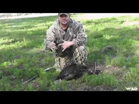 Hunting White-tailed Deer