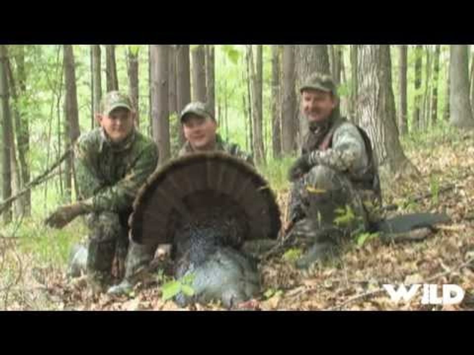 Hunting Eastern Gobbler