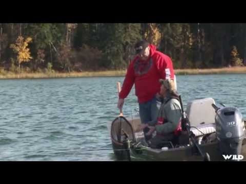 Fly Fishing for Brown Trout on Sheridan Lake