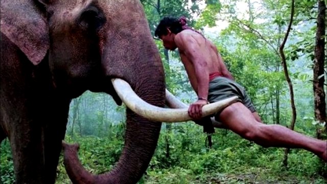 ТОП-5 САМЫХ БОЛЬШИХ ЖИВОТНЫХ КОГДА-ЛИБО ЖИВШИХ НА ЗЕМЛЕ!