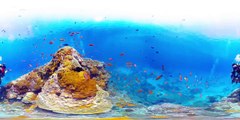 Дайвинг с обзором на 360° - о. Грин-Айленд, Тайвань