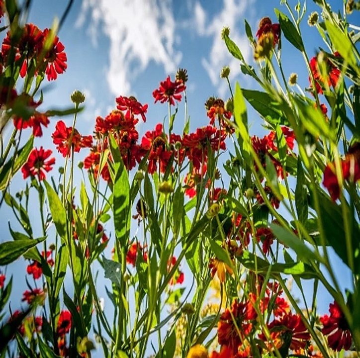 네임드사다리 분석 ♛「〃GT-77WAY.COM〃」♛추천코드: Win365