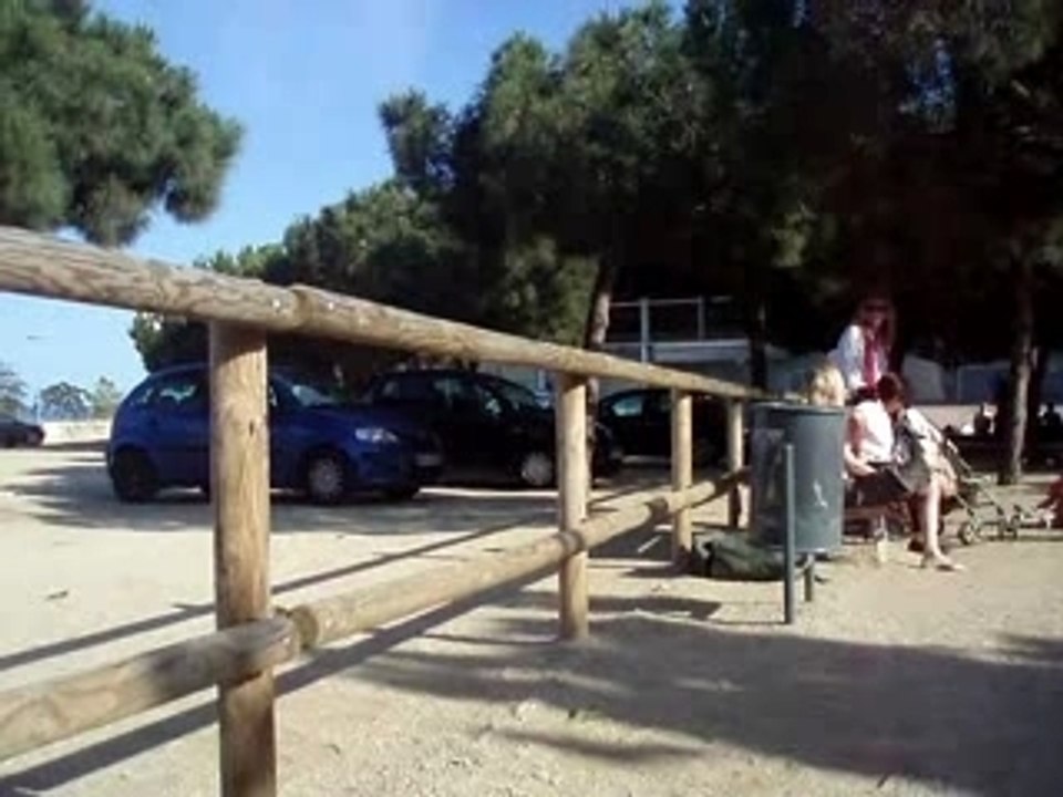 Avance pk2