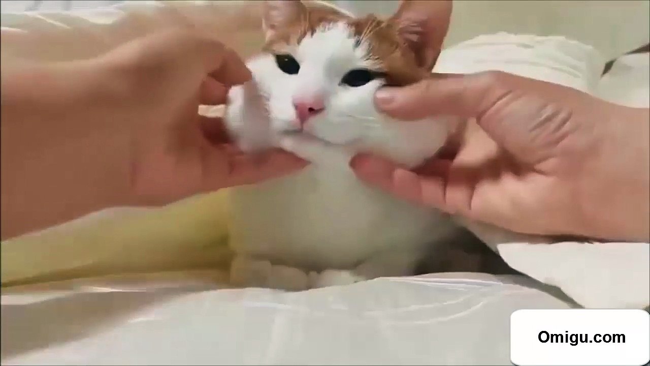 So Sweet