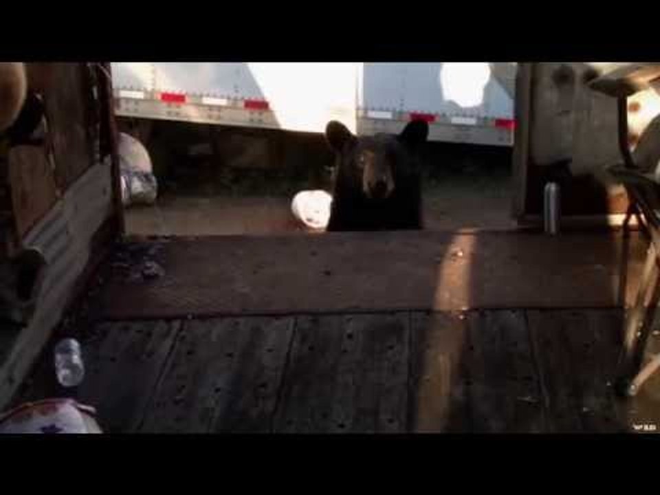 Bear Corners Film Crew in Trailer video Dailymotion