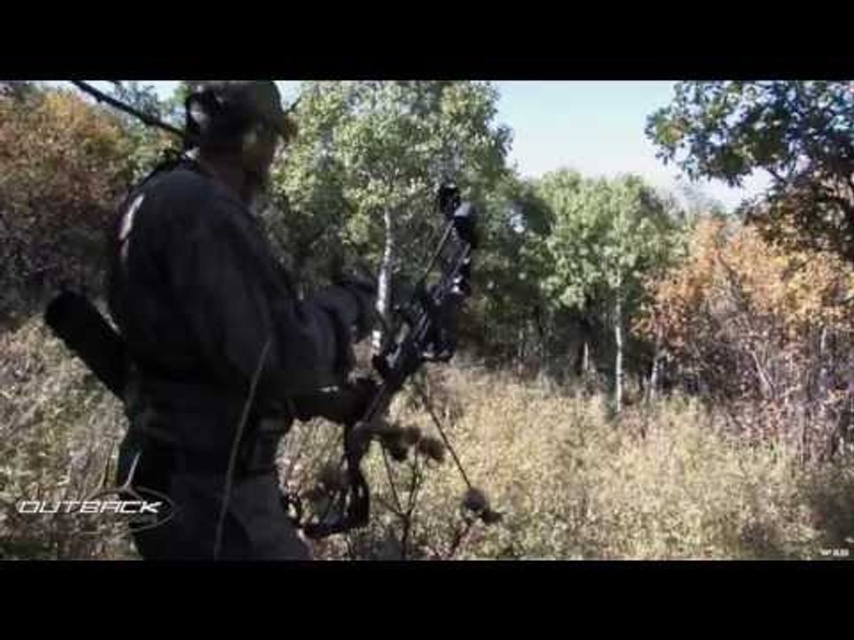 Hunting Elk with Bow In Colorado