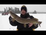 Ice Fishing for Pike and Pickerel