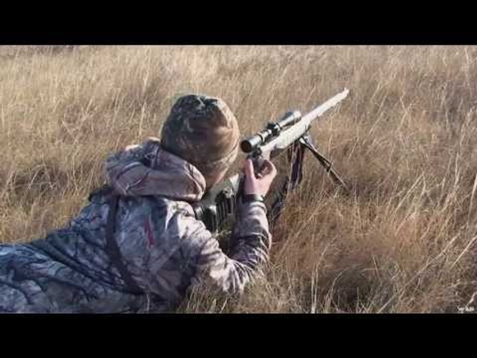 Mule Deer Hunting