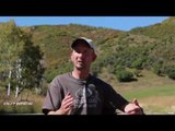 Hunting Bull Elk On Wyoming Public Land