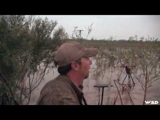 Duck Hunting At Honey Brake