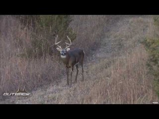 Hunting Deer with Bow in Oklahoma
