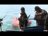 Hunting Sea Ducks On Kodiak