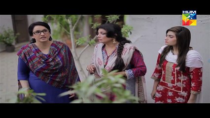 Tere Mere Beech Episode 12 Full Hum TV Drama 14 Feb 2016