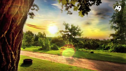 Güzel ahlakın temeli: iman