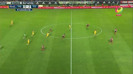 Golazo de Gignac, Tigres 1-2 Xolos