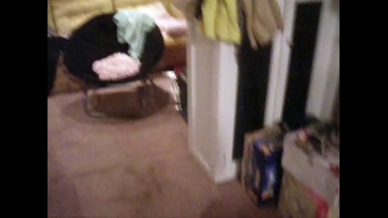 Cute Kitten Gets Stuck In Blinds