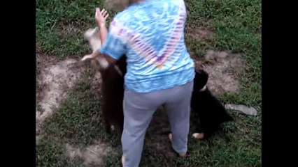 Cute Puppies Chow Down Together
