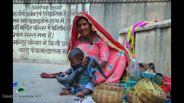 Такое возможно только в Индии- Фото Приколы