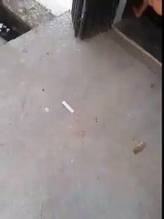 very funny video of cute boy opening chips