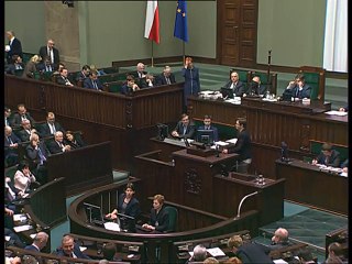 Poseł Katarzyna Lubnauer - Wystąpienie z dnia 11 lutego 2016 roku.