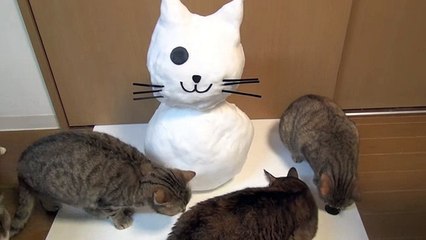 9匹の猫と崩れ落ちる雪だるま 9Cats and Snowman to tumble down