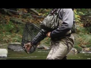 Kevin Howell at Davidson River